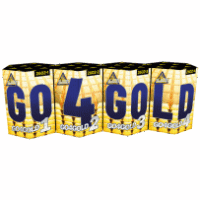 Evolution -  Go4Gold