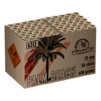 Professional style - Palm Beach