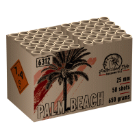 Professional style - Palm Beach